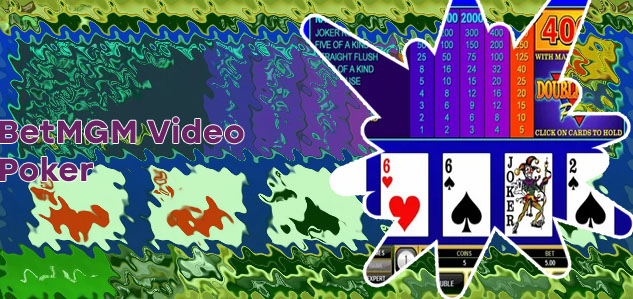 Double bonus video poker