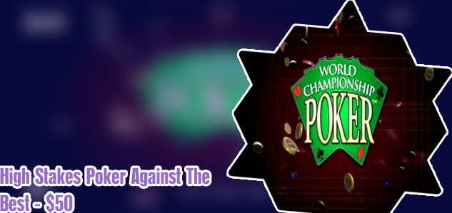 World championship poker video game